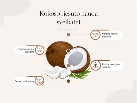 Kakavos nauda sveikatai infografika