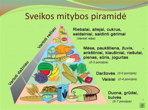 Kiaušinio struktūra ir maistinės medžiagos