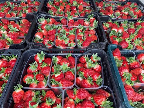 Šviežios braškės papuošimui