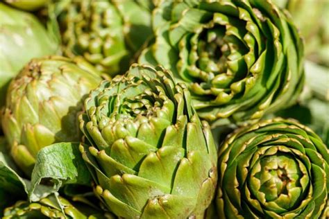 Artišokų paruošimas