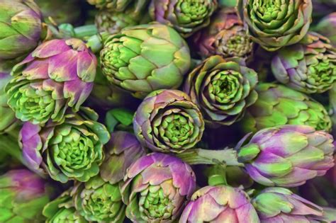 Artišokų paruošimo pavyzdys