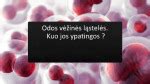 Vėžinės ląstelės mikroskopu