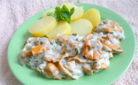 Grietinės padažų įvairovė