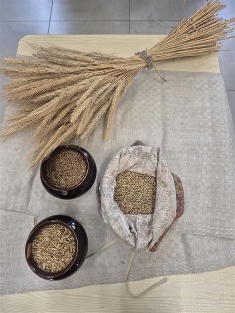 Vaizdinė schema: Duonos kelias nuo grūdo iki stalo