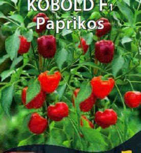 Saldžiosios paprikos augalas su vaisiais