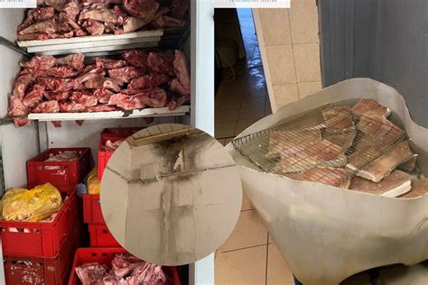 Veterinarijos tarnybos patikrinimas mėsos perdirbimo įmonėje