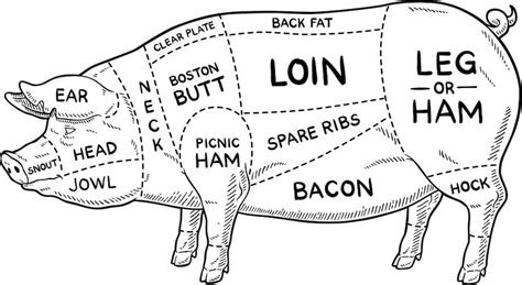 Different cuts of pork