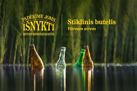 Vynuoginės sraigės Lietuvos gamtoje