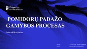 Padažo gamybos procesas