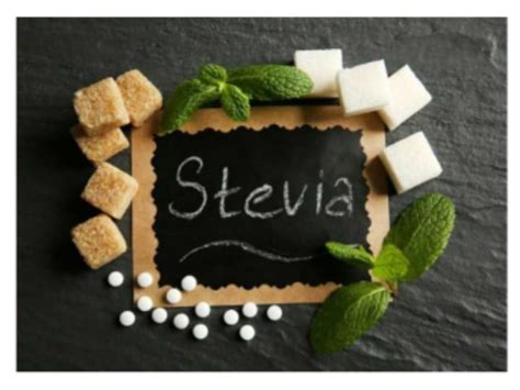 Stevijos augalas ir ekstraktai