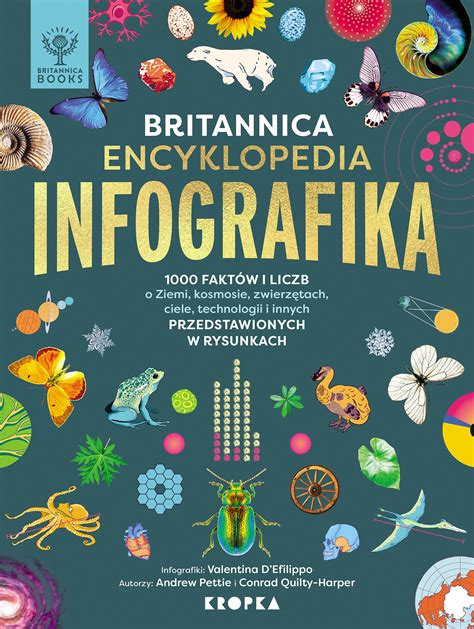 Šakočio istorijos infografika