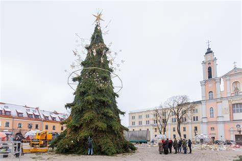 Šokoladinės Kalėdų eglės sluoksniai ir dekoravimas