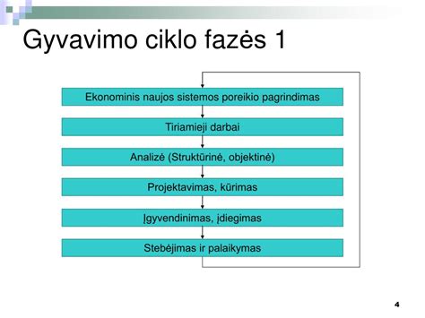 Trichineliozės gyvavimo ciklo schema