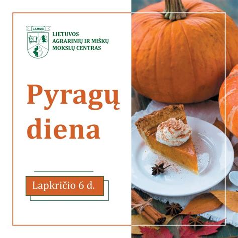 Mėsos pyragų istorija ir įvairovė