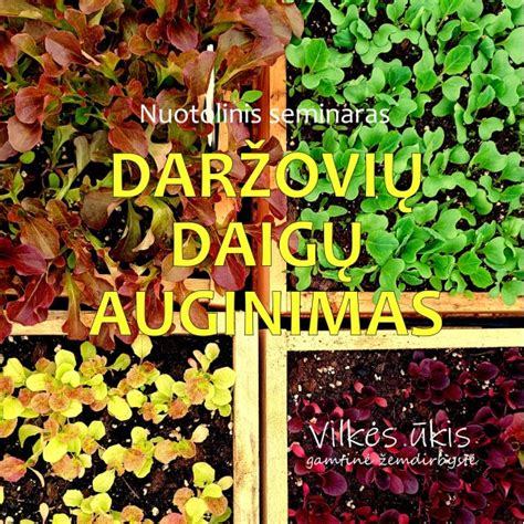 Daržovių auginimas