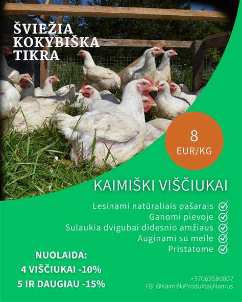 Taisyklingas omaro išdarinėjimas