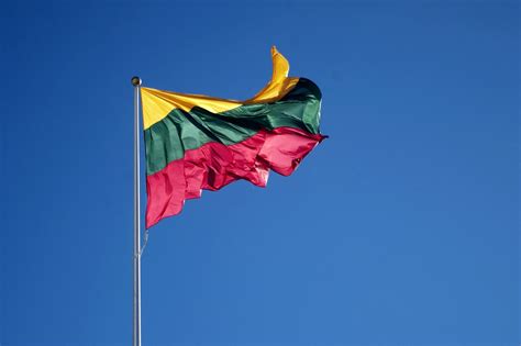 Lietuvos trispalvė vėliava plevėsuoja šventinio minėjimo metu