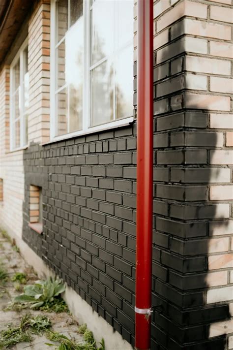 Mineralinio fasado dažymas