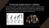 evoliucinis žmogaus mitybos pokytis