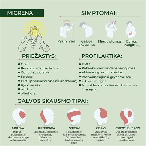 Vaistažolės migrenos gydymui