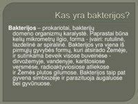 Patisono įvairovė ir formos