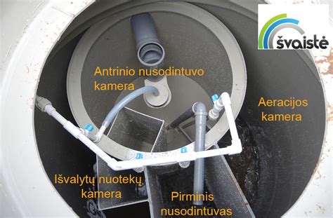 Midijų valymo proceso iliustracija