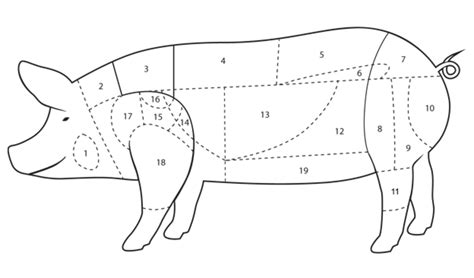 Diagrama, iliustruojanti kiaulienos mėsos dalis, tinkamas guliašui