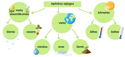 Darželio aplinkos temperatūros schema