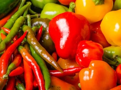 Įvairių rūšių ir spalvų paprikos