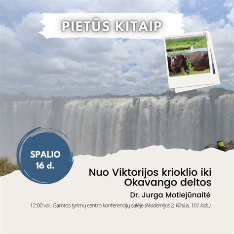 Gandro skrydis į pietus