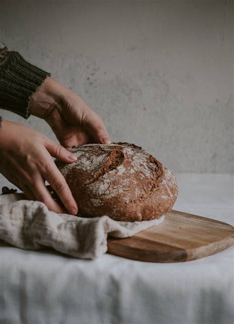 Sourdough raugo aktyvumo stebėjimas
