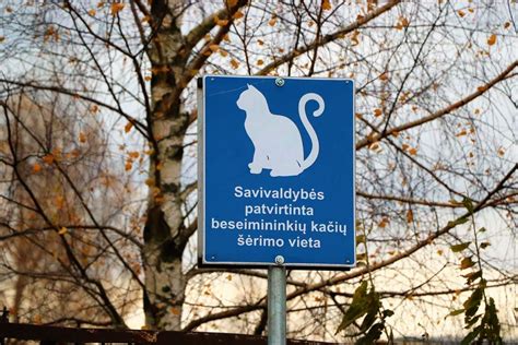Kačių šėrimo gairės