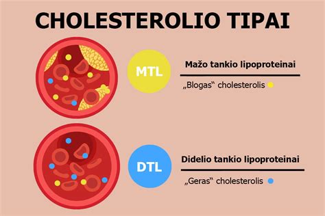 Grafikas: MTL cholesterolio gamyba kepenyse ir maisto įtaka