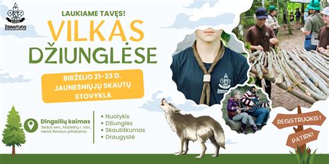 Skautų stovykla gamtoje, vaikai mokosi įgūdžių