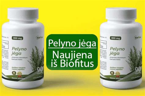 Pelyno augalas gamtoje