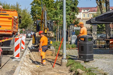 Medžio šaknyno struktūra ir apsauga statybų metu