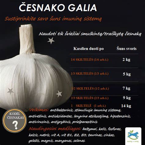 Česnako skiltelės ir jų nauda