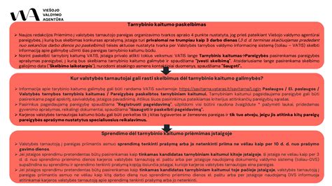 Informacinė schema apie cepelinų pasirinkimą