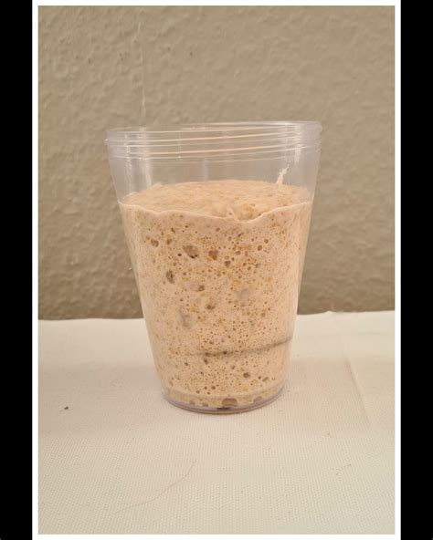 Raugas duonos kepimui