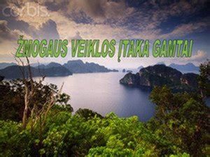 Žmogaus veiklos įtaka gamtai
