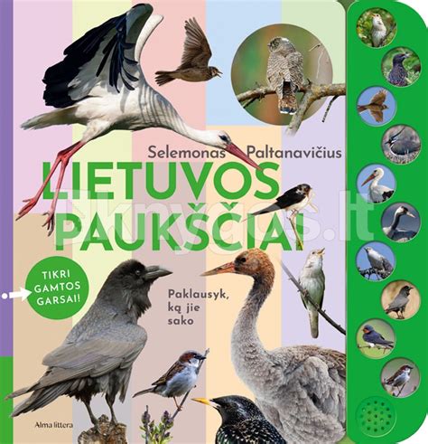 Nėgės morfologija ir išvaizda