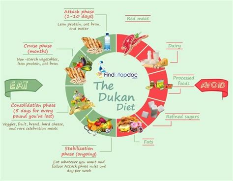 Dukan diet stages diagram