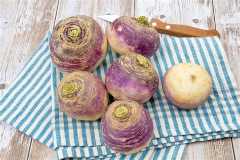 Šviežios ropės daržovių krepšyje