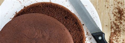 Šokoladinis biskvitas