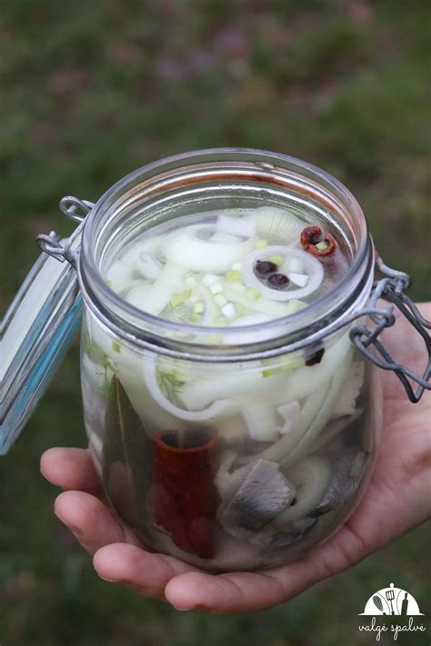 Kiaulpienės su cukrumi stiklainyje
