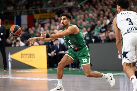 Schema su skirtingų pyrago dalių proporcijomis