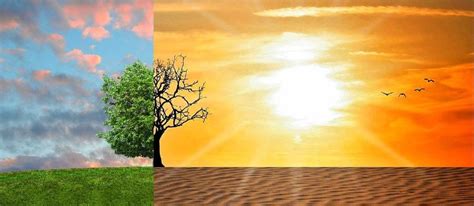 Klimato kaitos poveikis pingvinų buveinėms