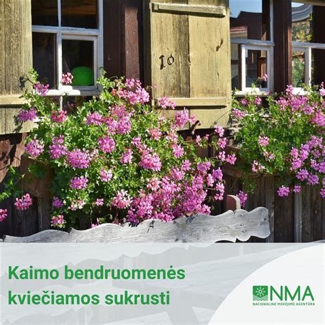 Rūdupių kaimo bendruomenės kiemelis kaimo sąskrydyje