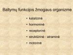 Baltymų funkcijos žmogaus organizme