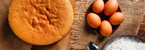 Tortų pagrindų įvairovė: biskvitas, meduolis, sausainių pagrindas